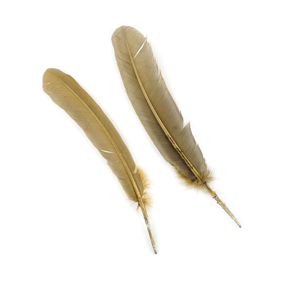 Turkey Quills Dyed Feathers - Camel