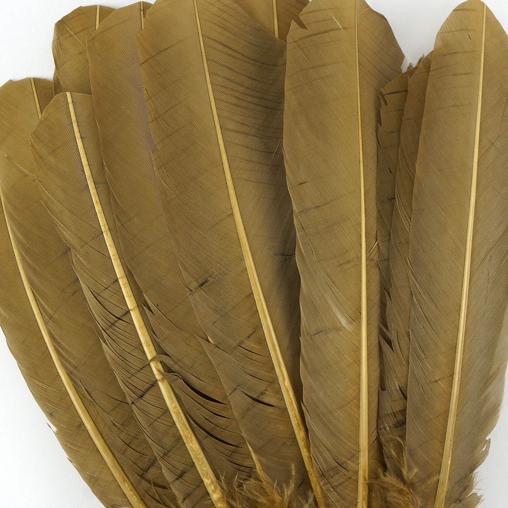 Turkey Quills Selected Camel