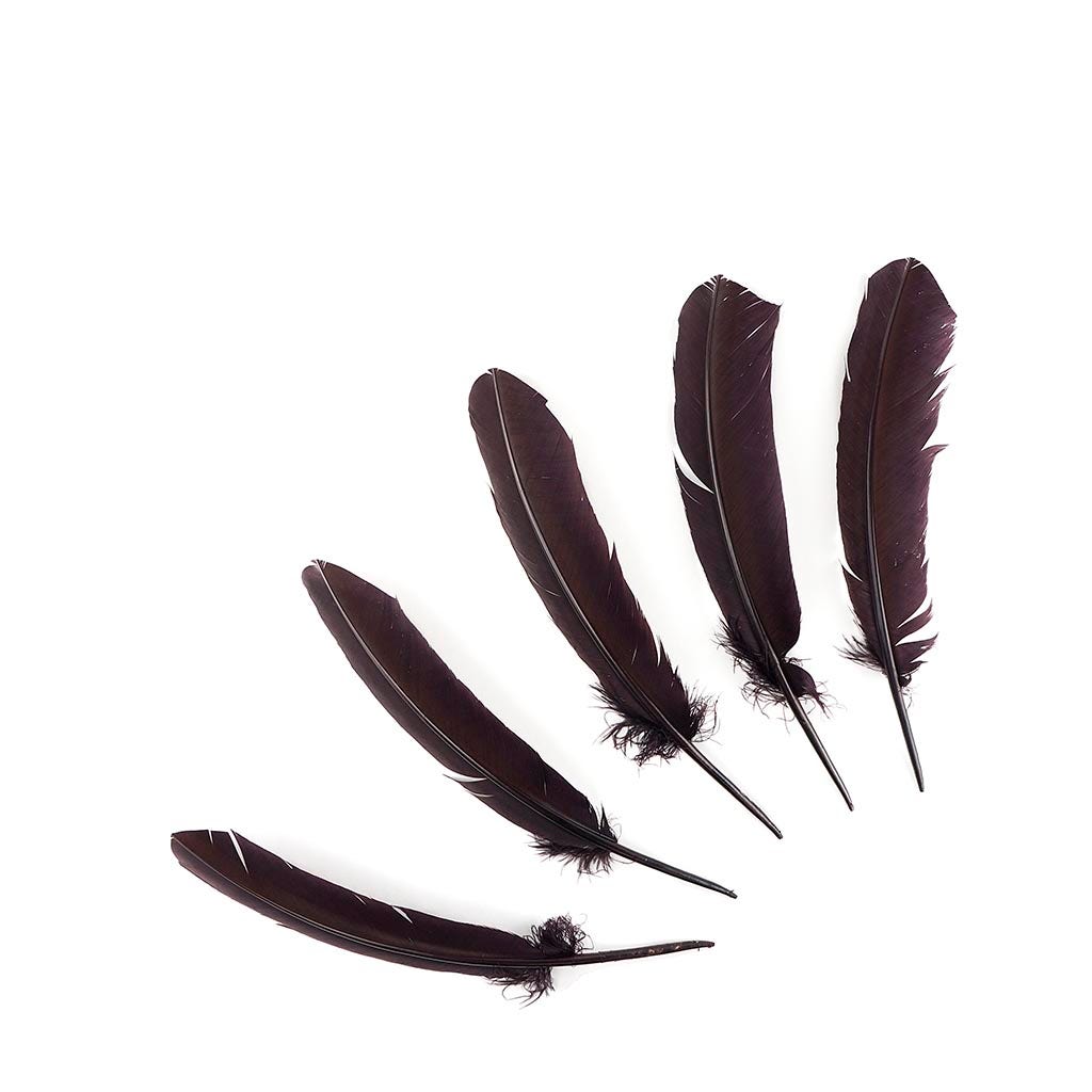 Turkey Quills by Pound - Right Wing - Brown