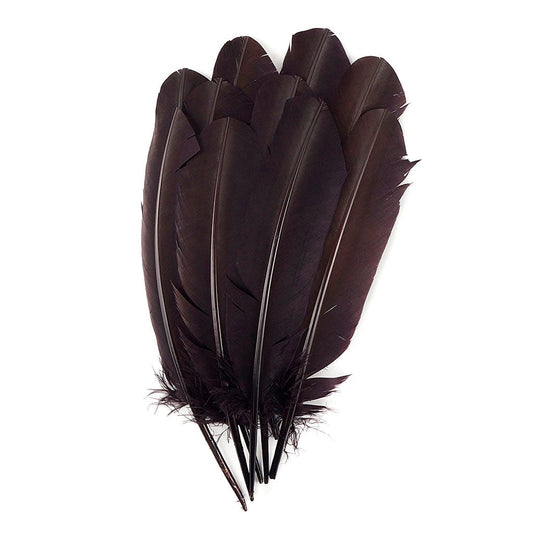 Turkey Quills by Pound - Right Wing - Brown