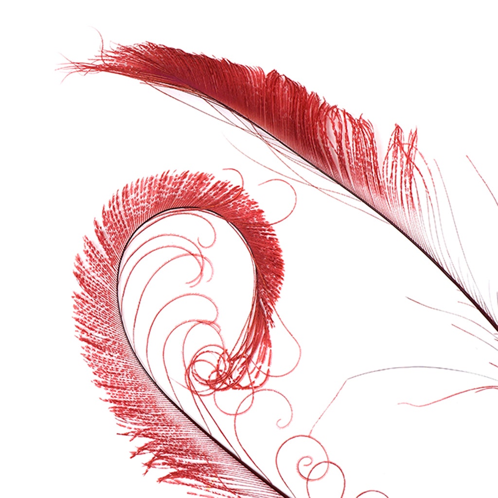 Peacock Swords Bleached Dyed - Burgundy