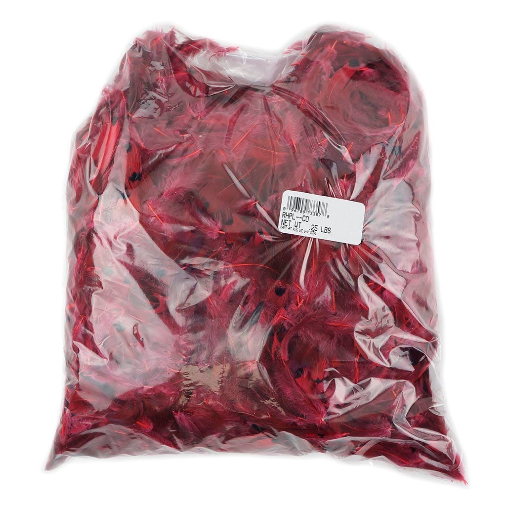 Ringneck Plumage-Heart Coral