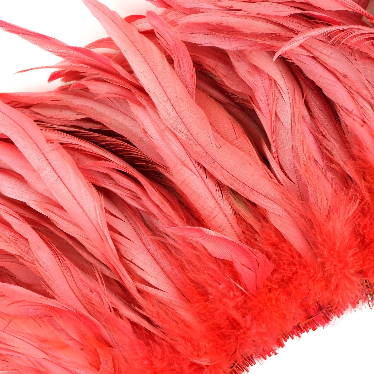 ROOSTER COQUE TAILS FEATHERS BLEACH DYED 7-10” - 1/2 Yard ( 18") - Coral
