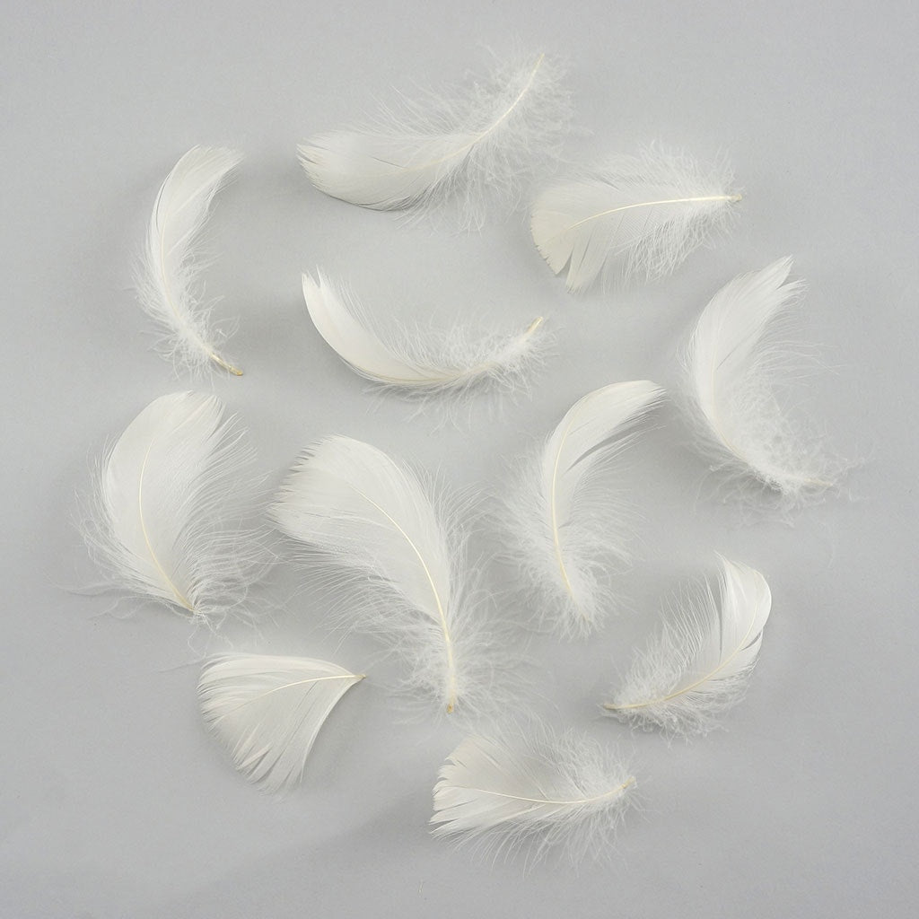 Eggshell Loose Goose Coquille Feathers 3-5 inch