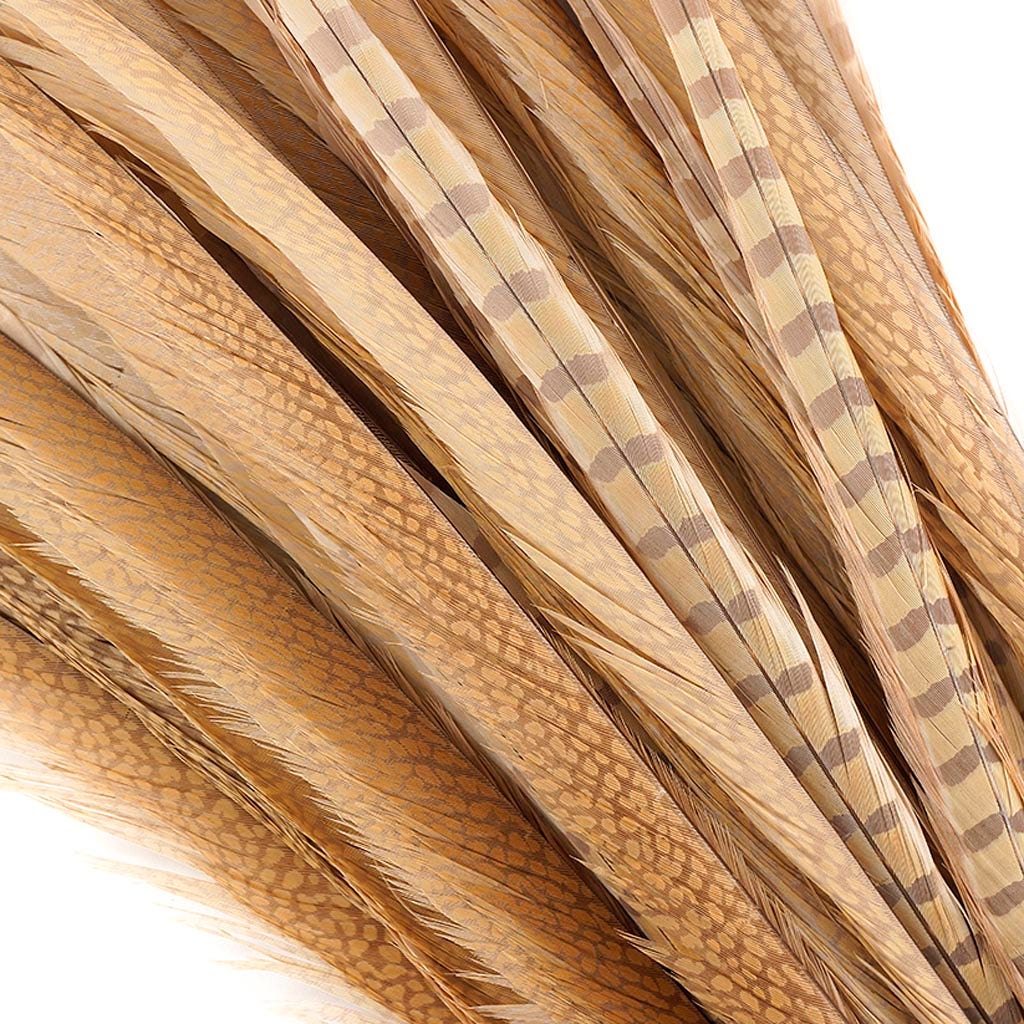 Assorted Pheasant Tails Dyed - Eggshell