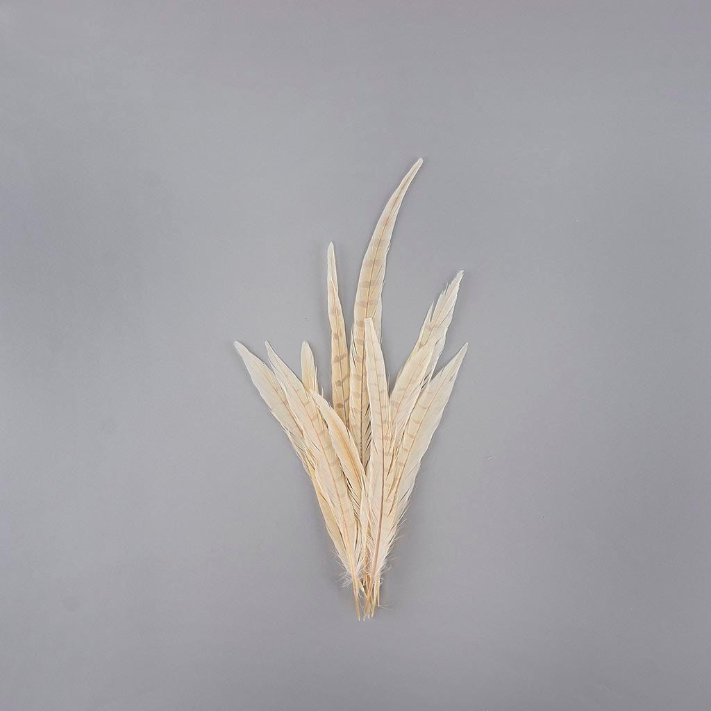 Pheasant Tails Assorted Bleached - Eggshell