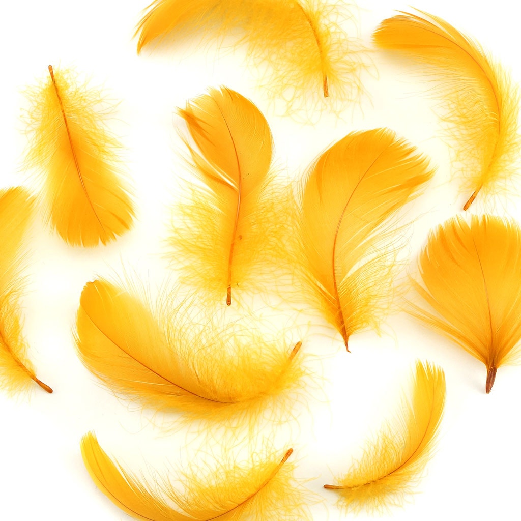 Antique Gold Loose Goose Coquille Feathers 3-5 inch