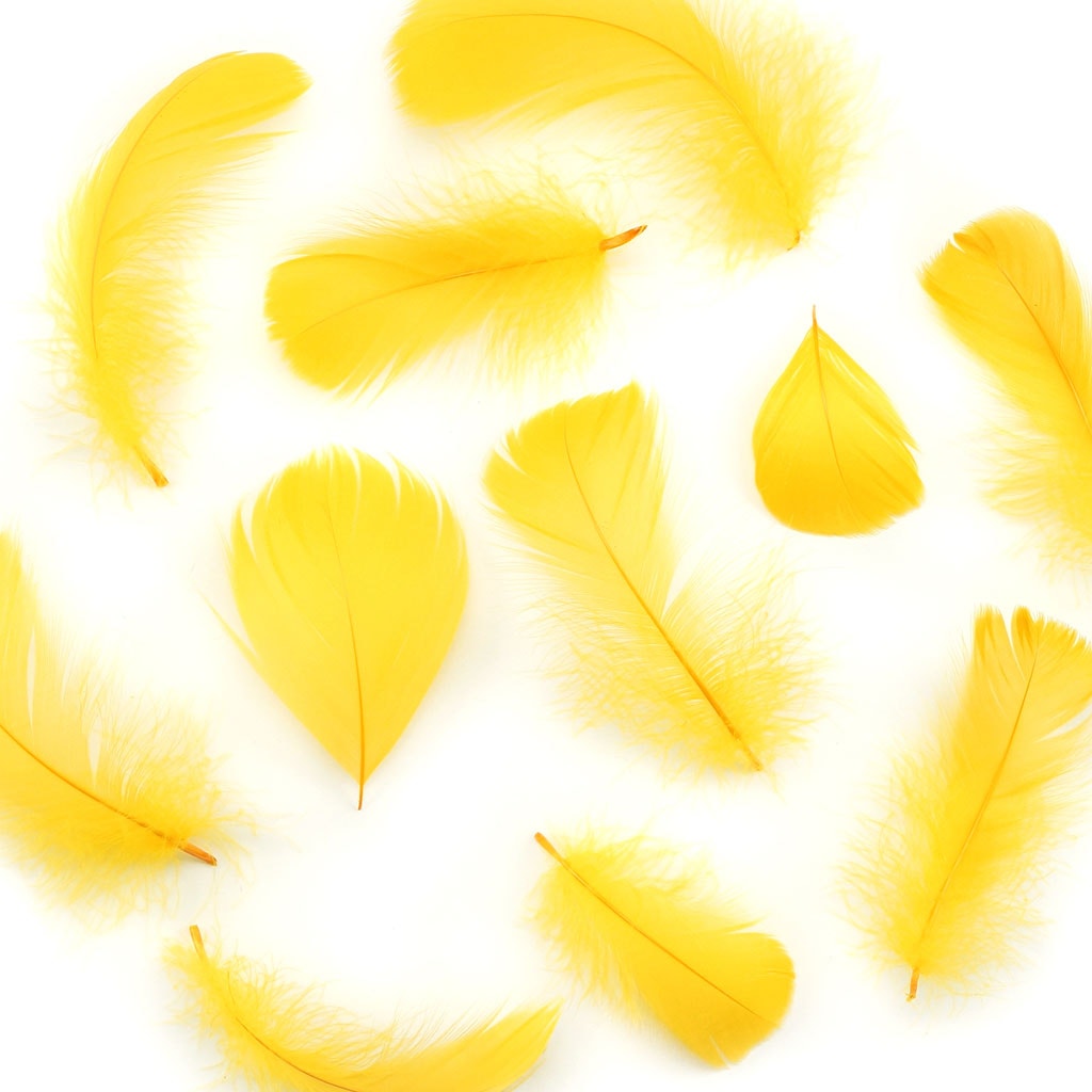 Gold Loose Goose Coquille Feathers 3-5 inch