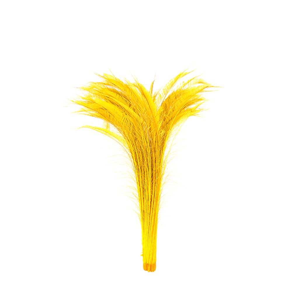 Zucker Feather Products Peacock Swords Bleach Dyed - Gold