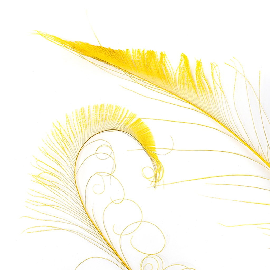 Peacock Swords Bleached/Dyed - Gold