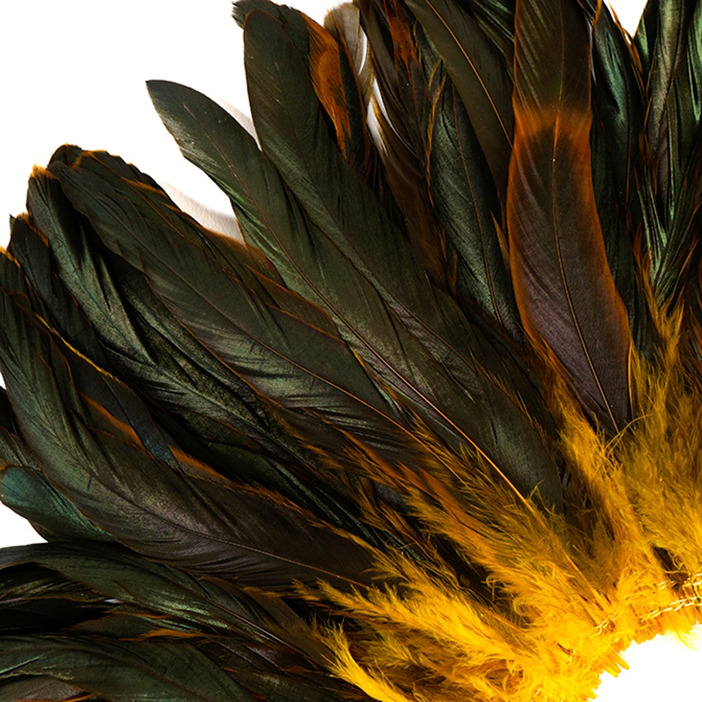 Rooster Coque Tails-Dyed - Gold