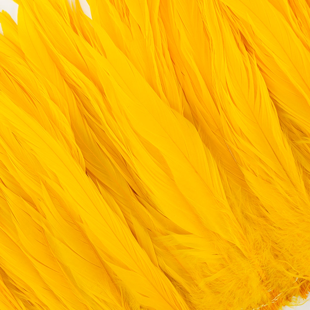 Rooster Coque Tails White-Dyed - Gold