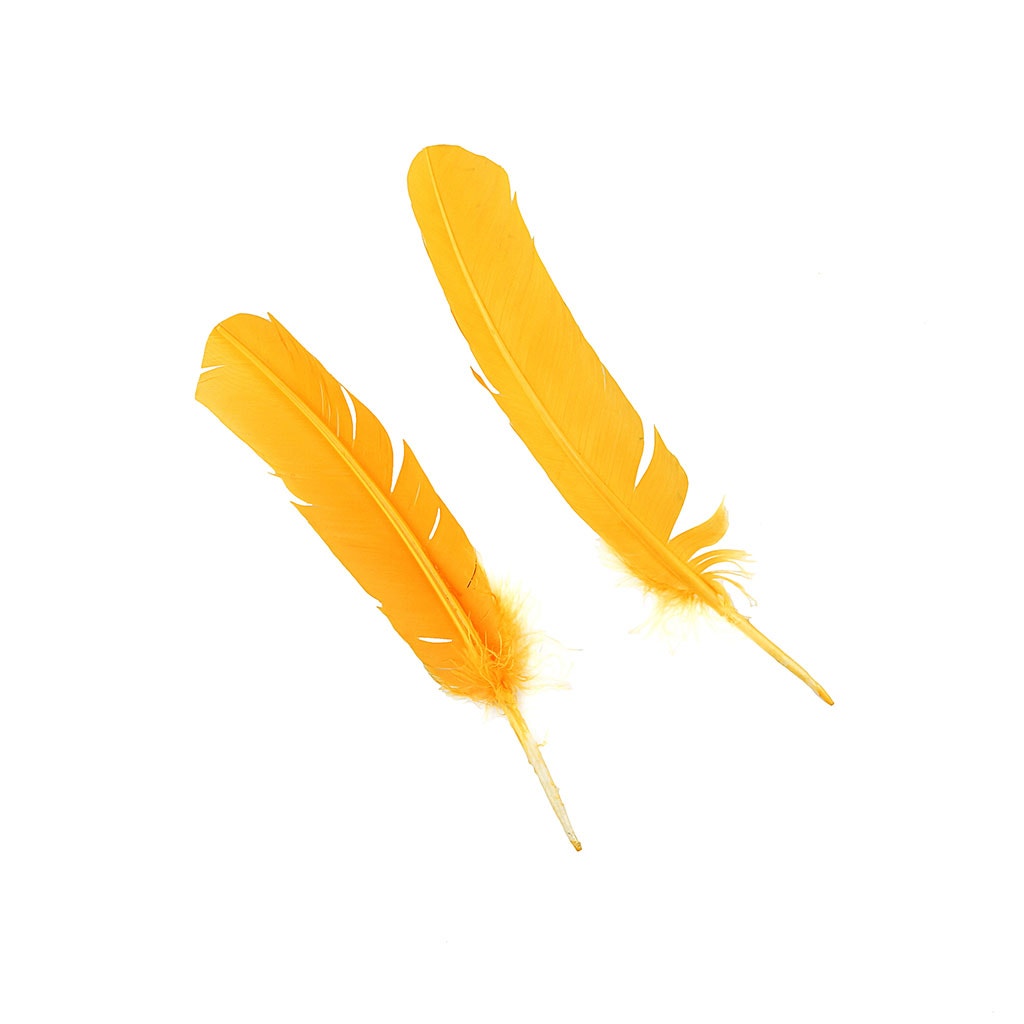 Turkey Quills Dyed Feathers - Gold