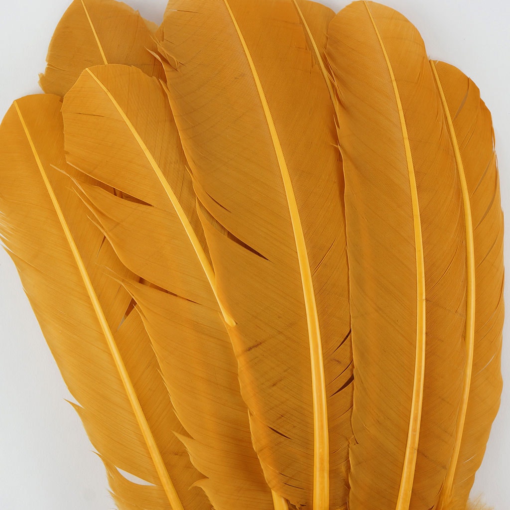 Turkey Quills Selected Antique Gold