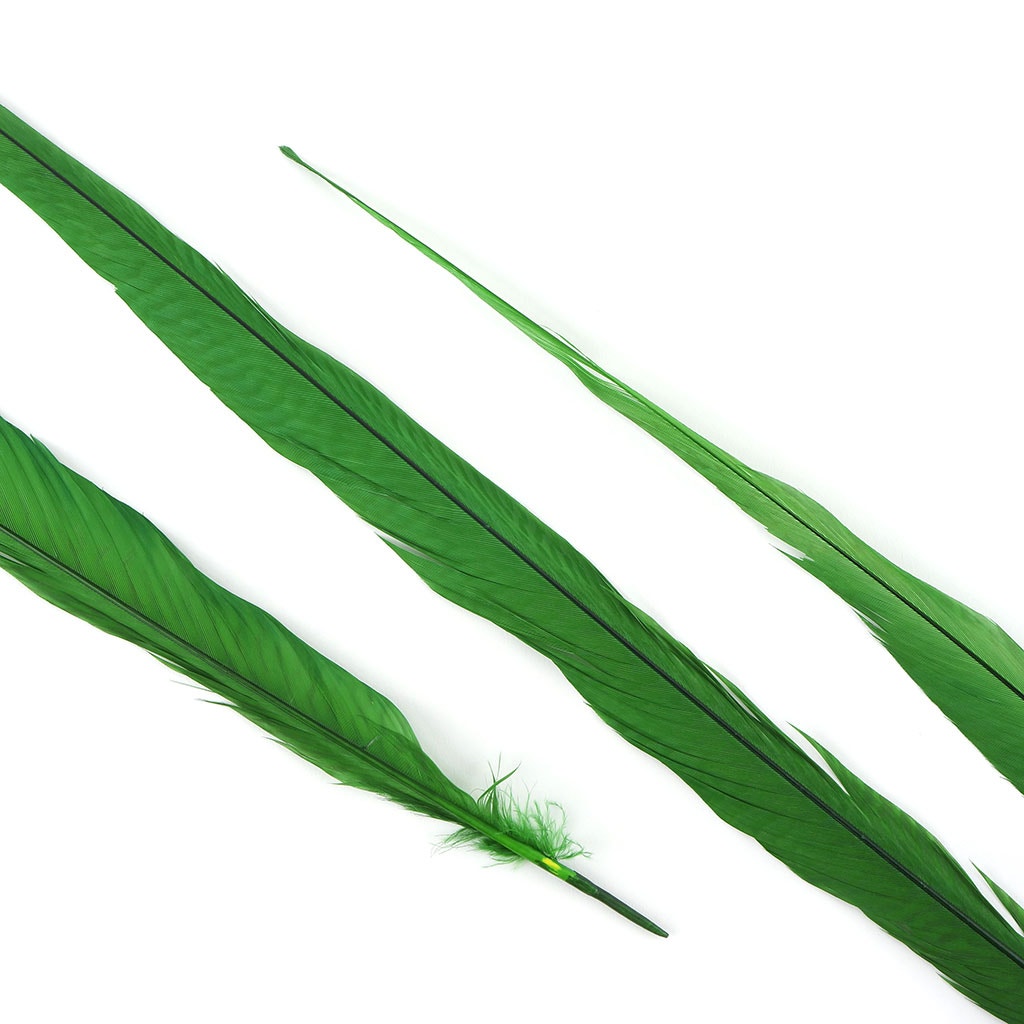 BGP30B Golden Pheasant Tails 25-30" Bleached & Dyed (3 Pieces Per Package) Kelly