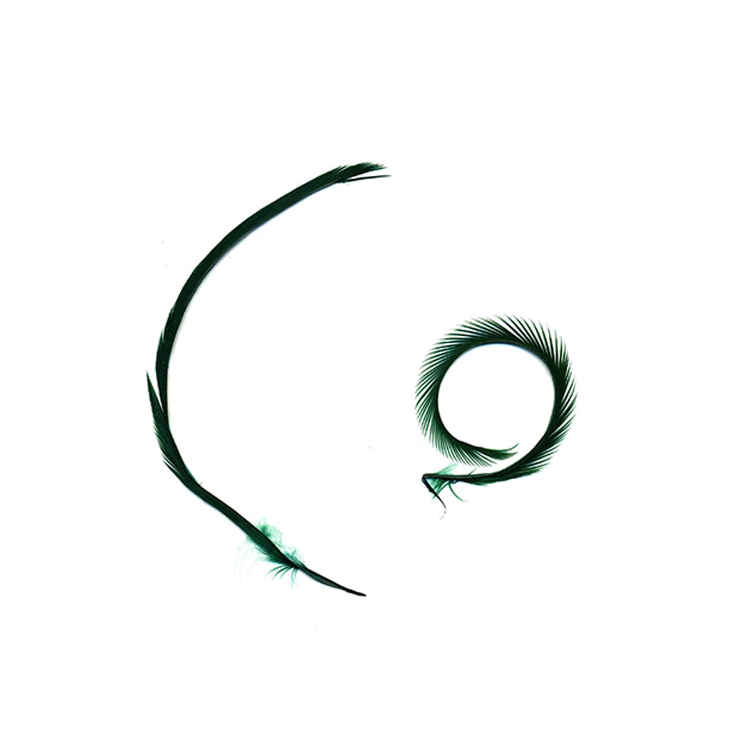 Goose Biot Feathers-Dyed - Hunter Green