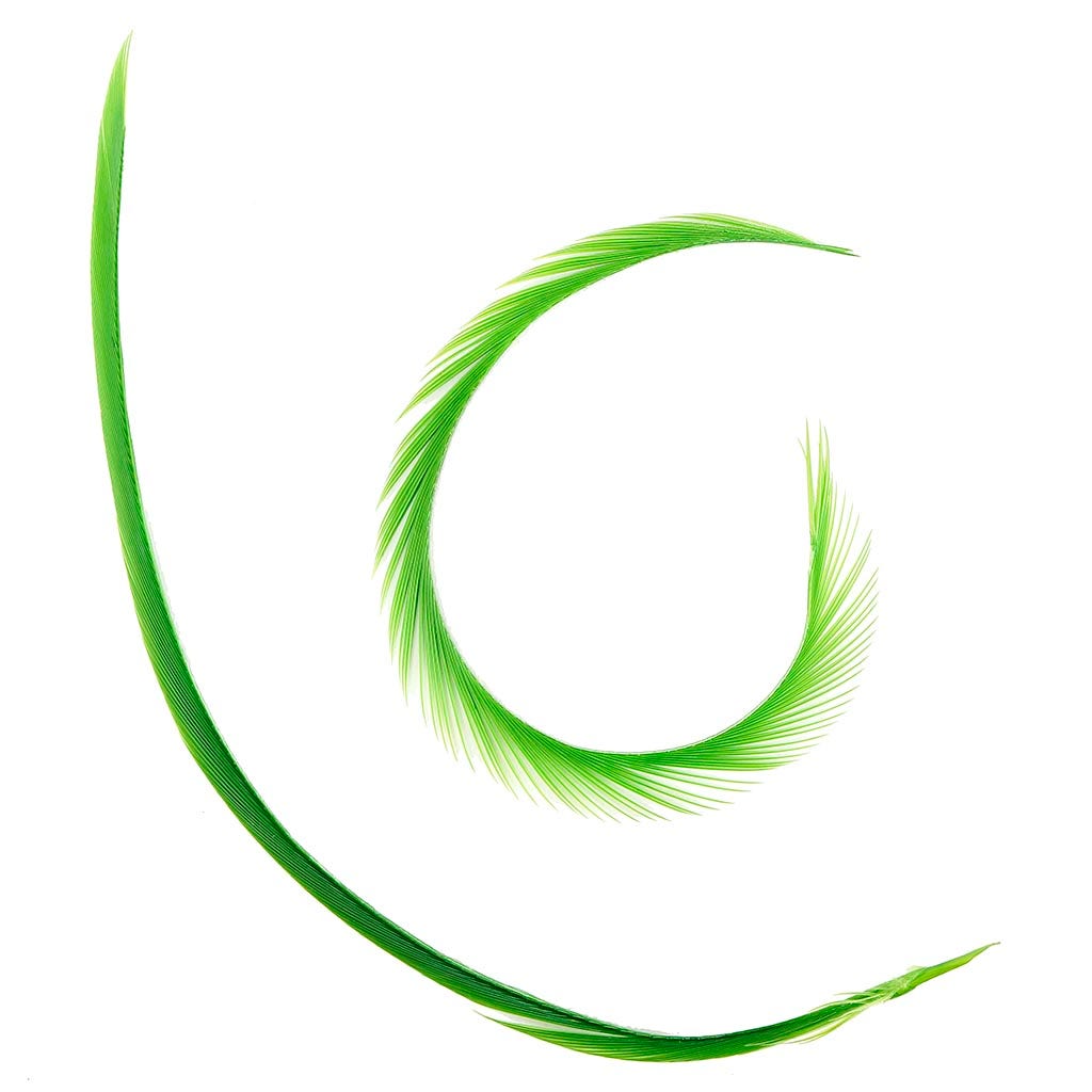 Goose Biot Feathers-Dyed - Basil