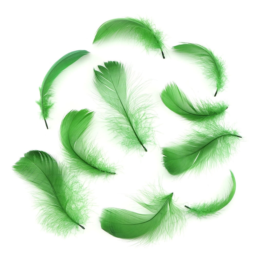 Kelly Green Loose Goose Coquille Feathers 3-5 inch