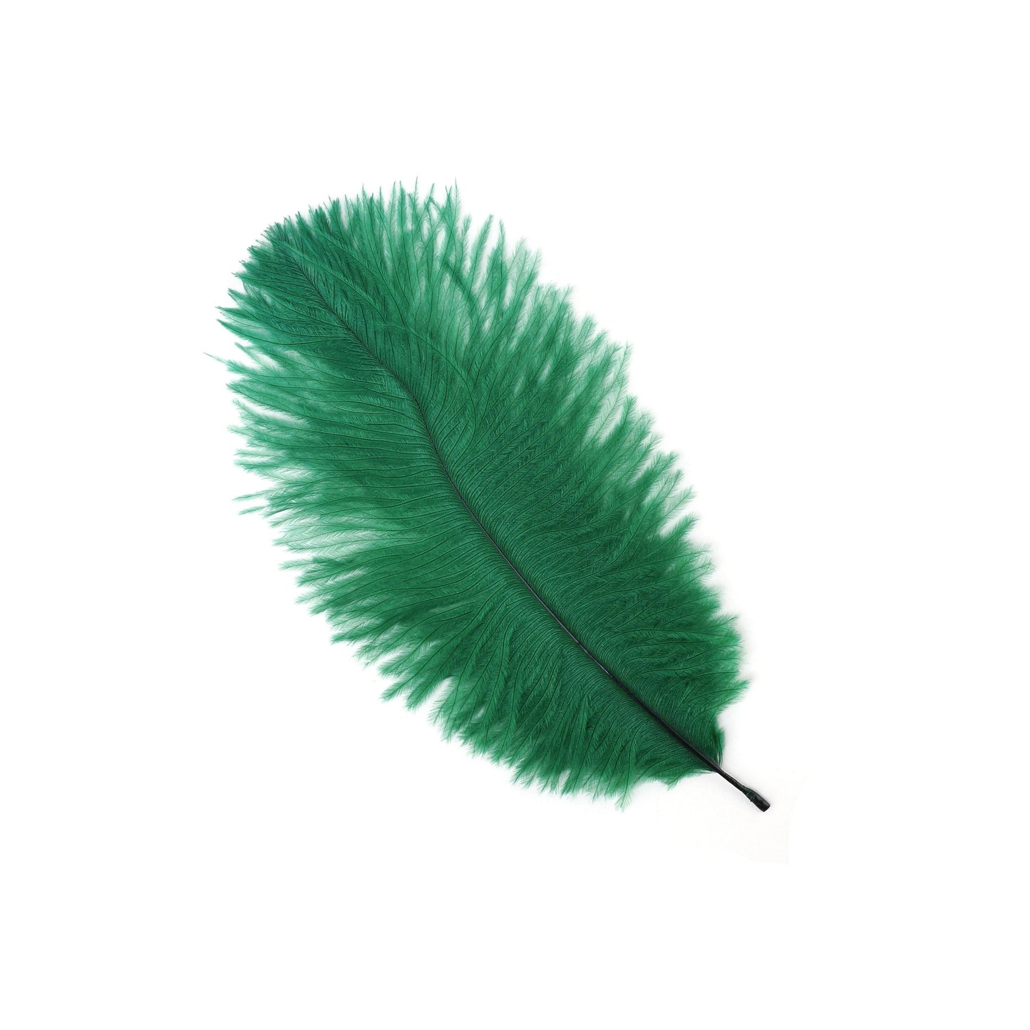 Bulk Feather Ostrich Drabs - 4-8" 1/4 lb Emerald Green