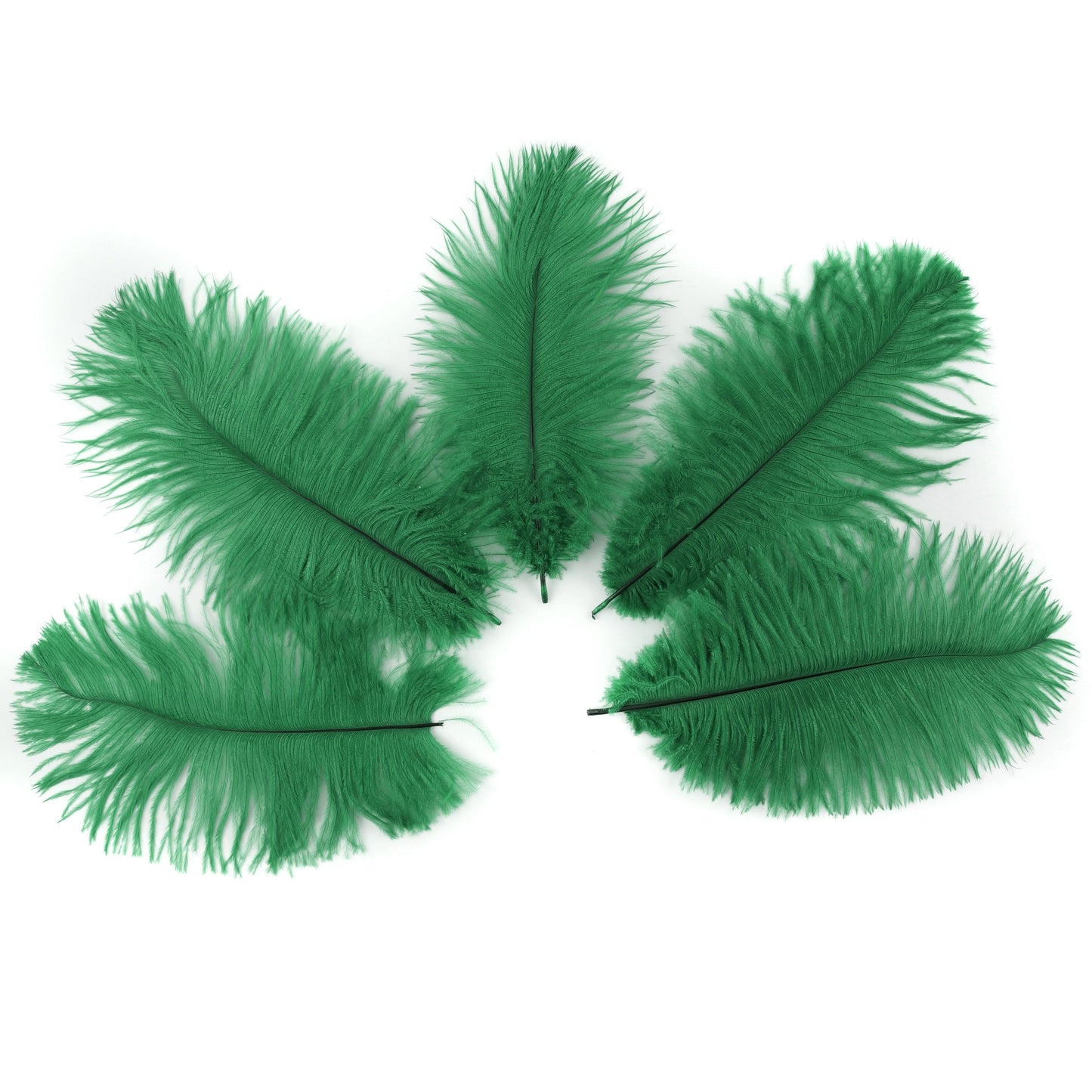 Ostrich Feather Drabs 4-8" - 12pcs Emerald