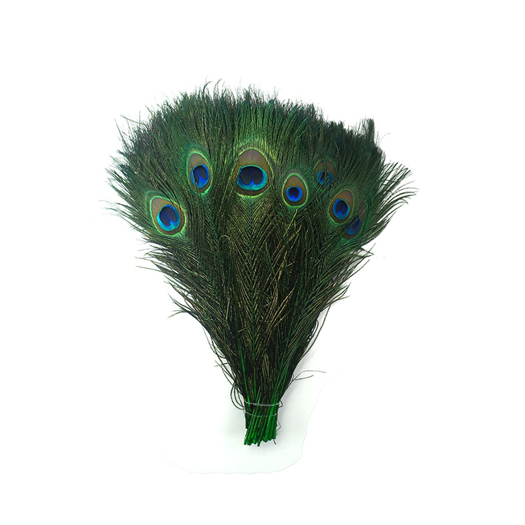 Peacock Feathers (Bulk) | 25-40 Tail Eyes | Candy Pink