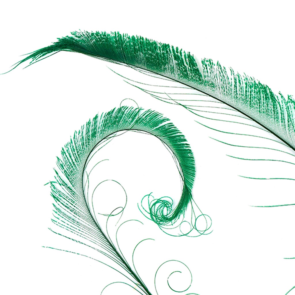 Peacock Swords Bleached/Dyed - Kelly