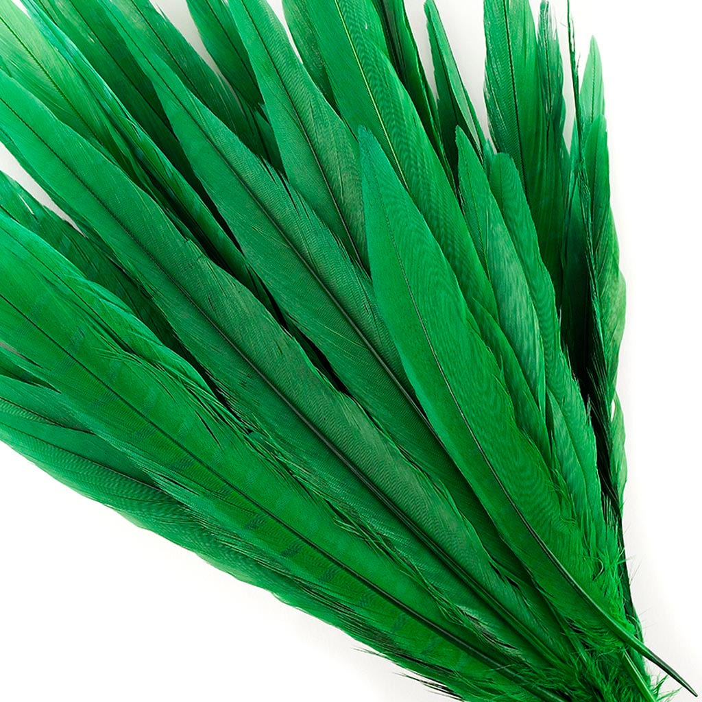 Pheasant Tails Assorted Bleached - Kelly