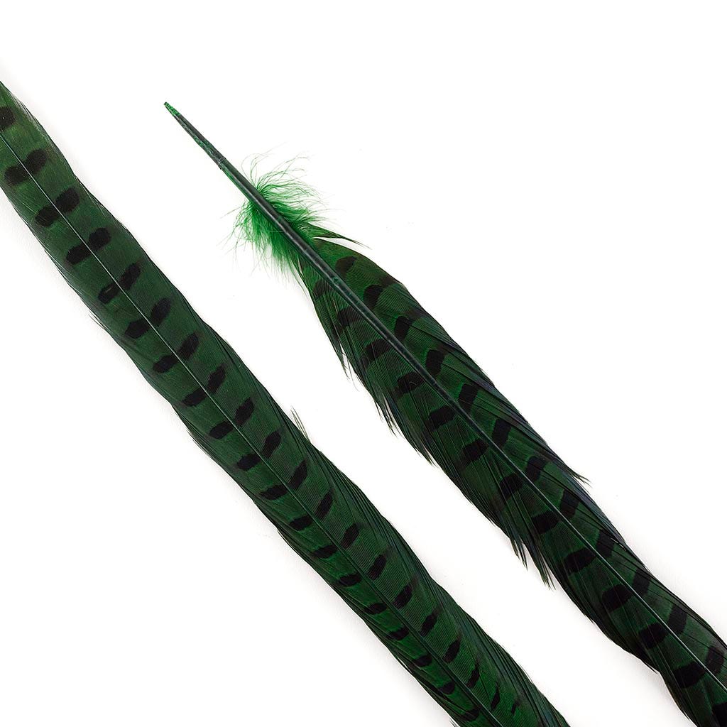 Ringneck Pheasant Tails 20-24" Dyed -5pcs - Kelly