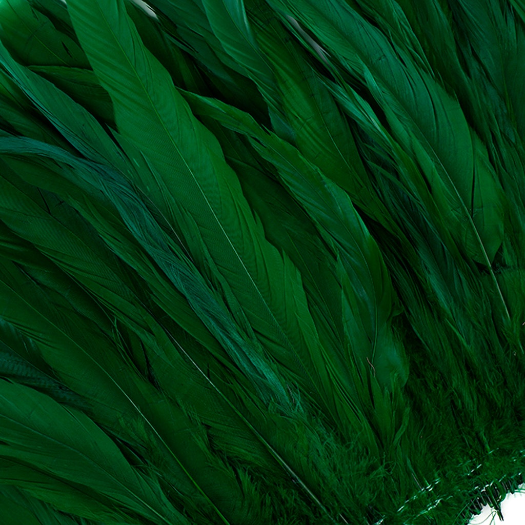 Rooster Coque Tails White-Dyed - Kelly