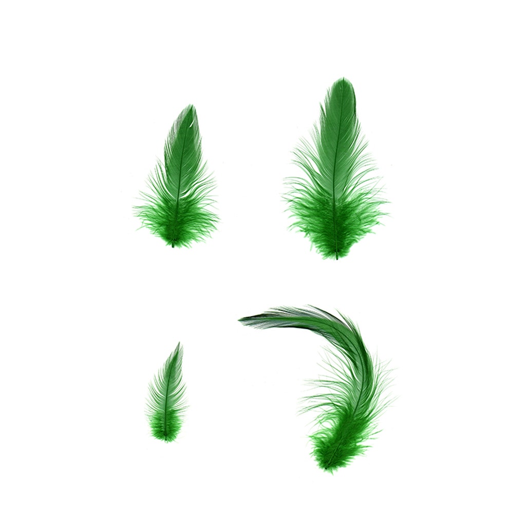 Rooster Hackle-White-Dyed - Kelly