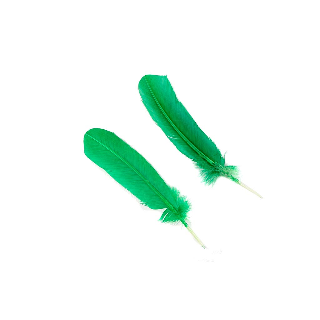 Turkey Quills Dyed - Kelly