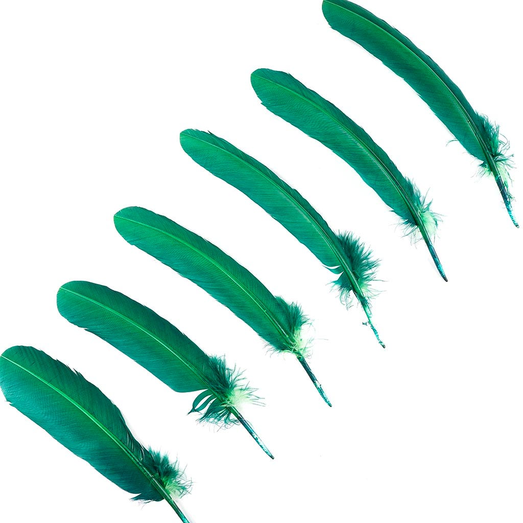 Turkey Quills Selected - Hunter Green