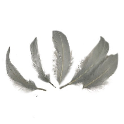 Goose Pallet Feathers 6-8" 12PC/PKG - Silver