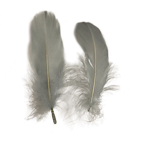 Goose Pallet Feathers 6-8" 12PC/PKG - Silver