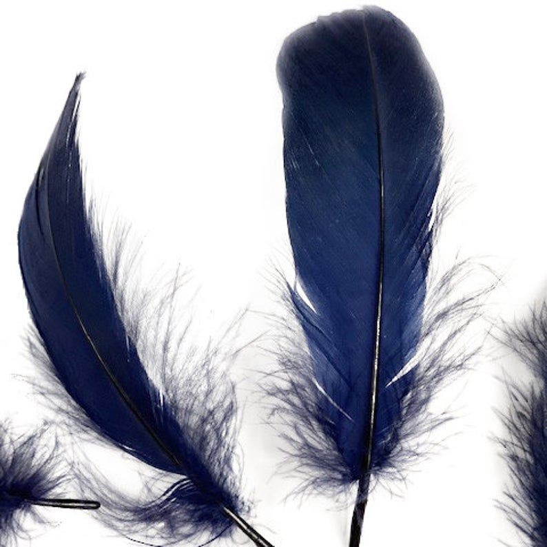 Goose Nagoire Loose Feathers 4-6" - Navy