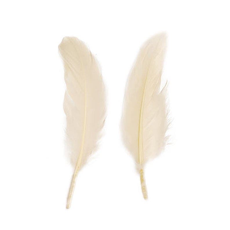 Goose Pallets Loose Feathers 6-8 Inch 1/4 LB - Ivory