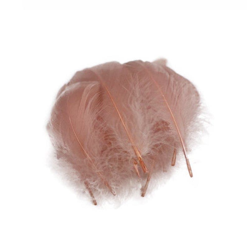 Goose Nagoire Loose Feathers 4-6" - Champagne