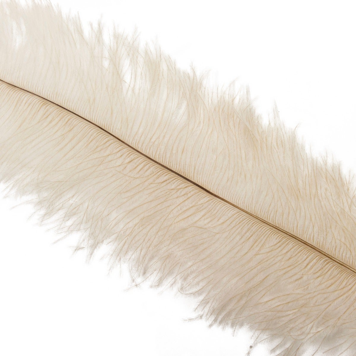 Ostrich Feathers-Floss - Natural Tonals