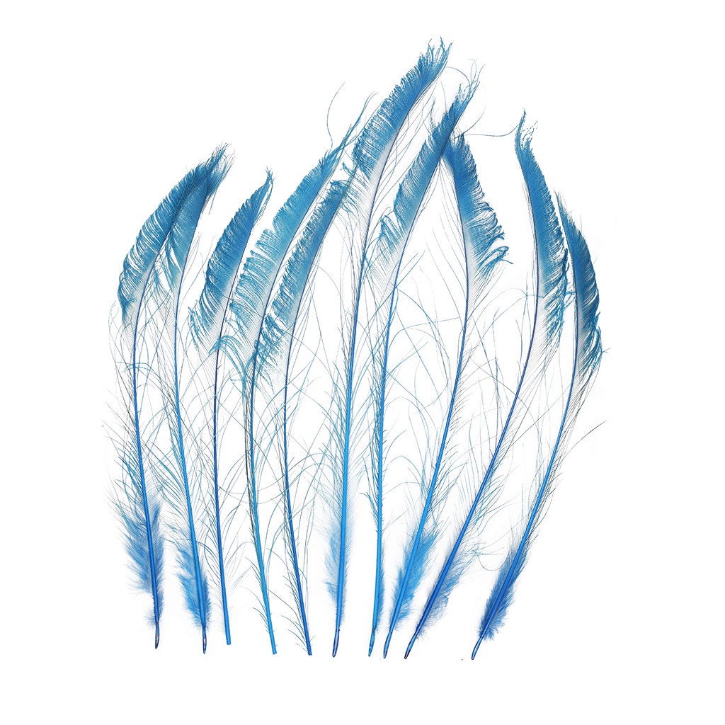 Peacock Swords Bleached/Dyed - Dark Turquoise