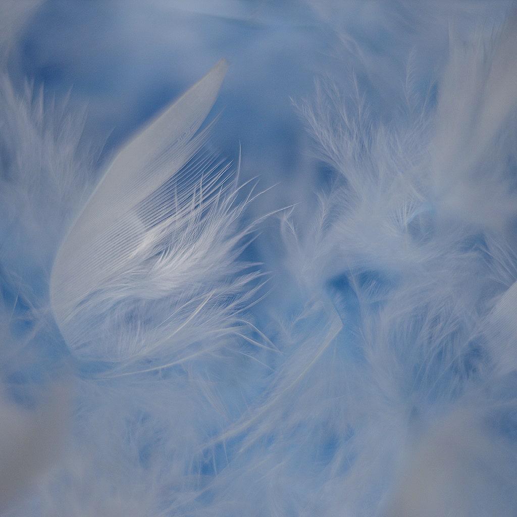 Chandelle Feather Boa - Medium Weight - Light Blue