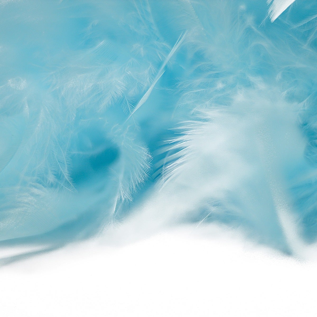 Chandelle Feather Boa - Medium Weight - Light Turquoise
