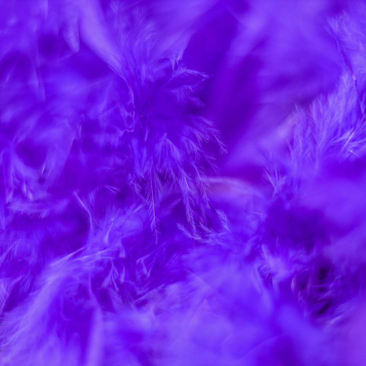 Chandelle Feather Boa - Medium Weight - Regal