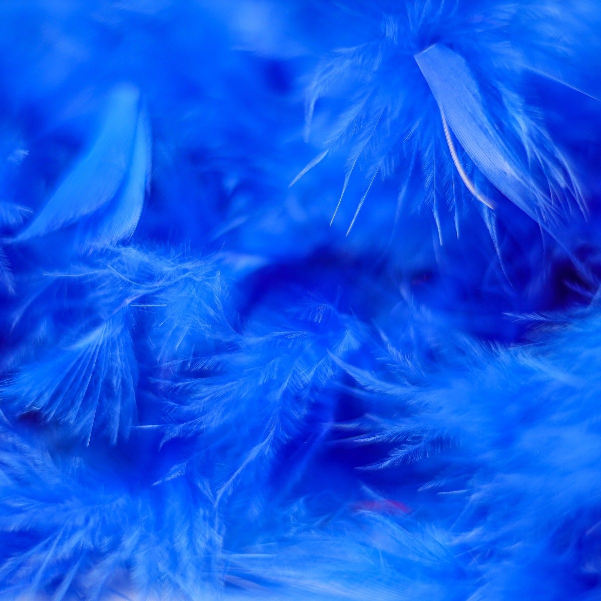 Chandelle Feather Boa - Heavyweight - Royal
