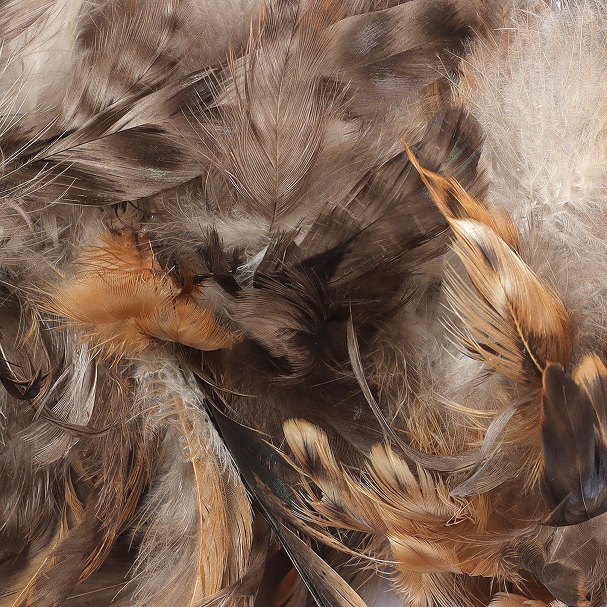 Natural Schlappen Feather Boa 6-7"