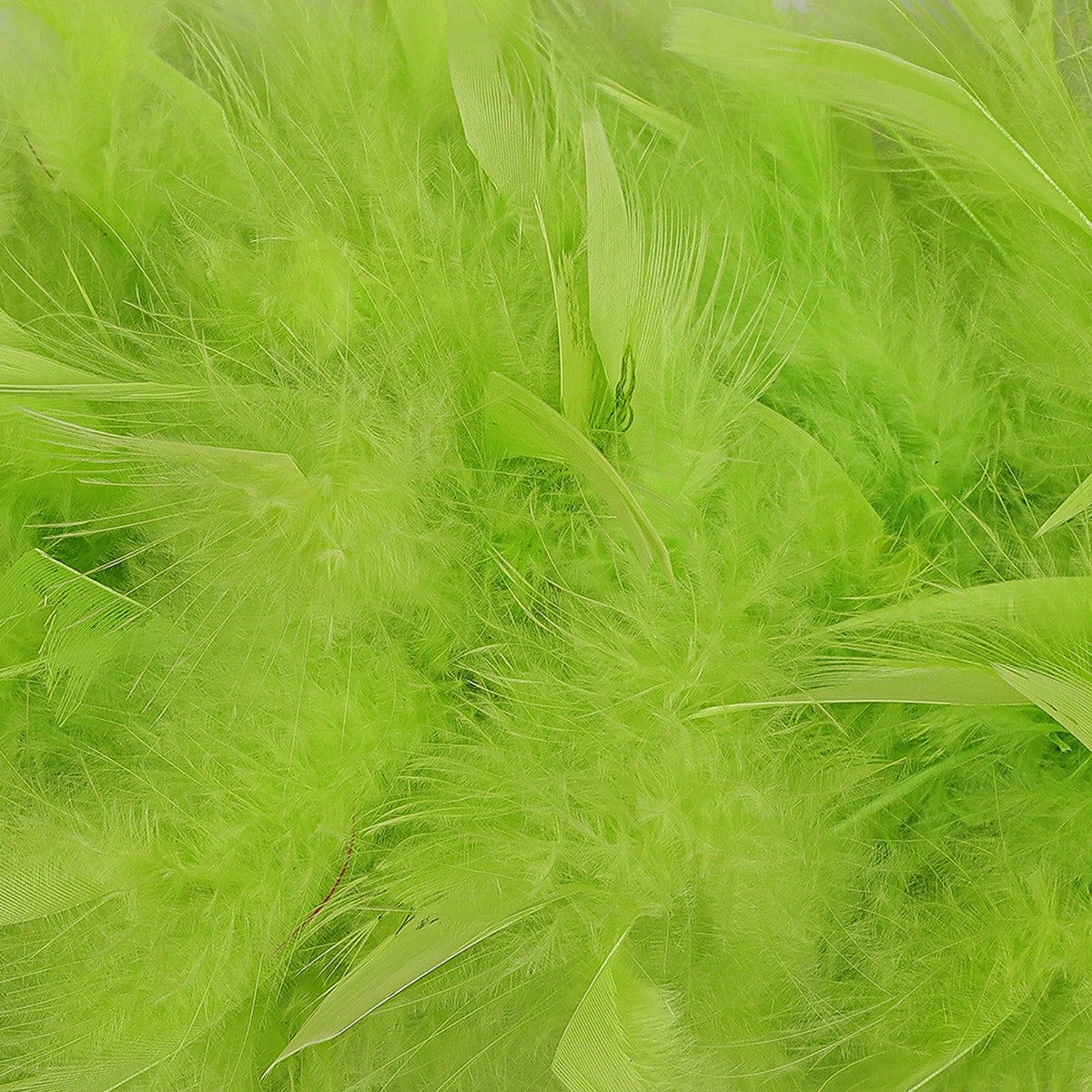 Chandelle Feather Boa - Heavyweight - Lime