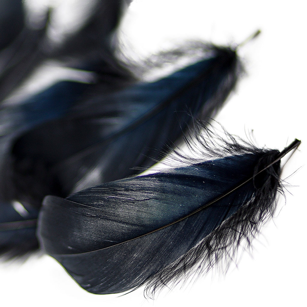 Goose Nagoire Loose 4-6" Black