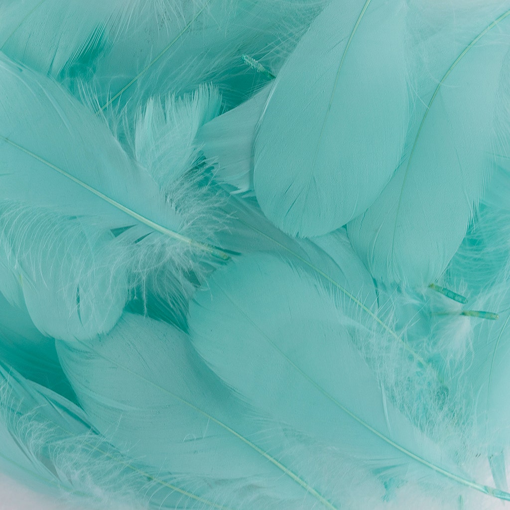 Goose Nagoire Loose 4-6" - Mint