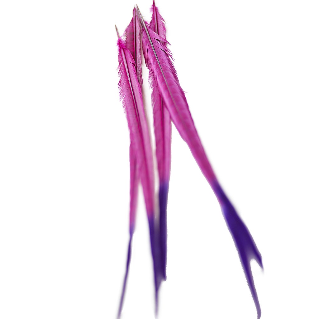 Ringneck Pheasant Tails Bleached/Dyed & Tipped Very Berry/Regal, 5 pieces, 20-24 inch long feathers