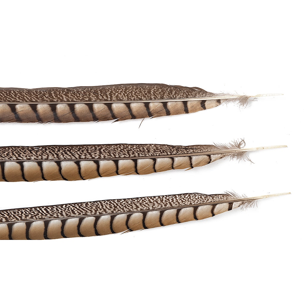 Lady Amherst Pheasant Tails - Natural - 20 - 30"