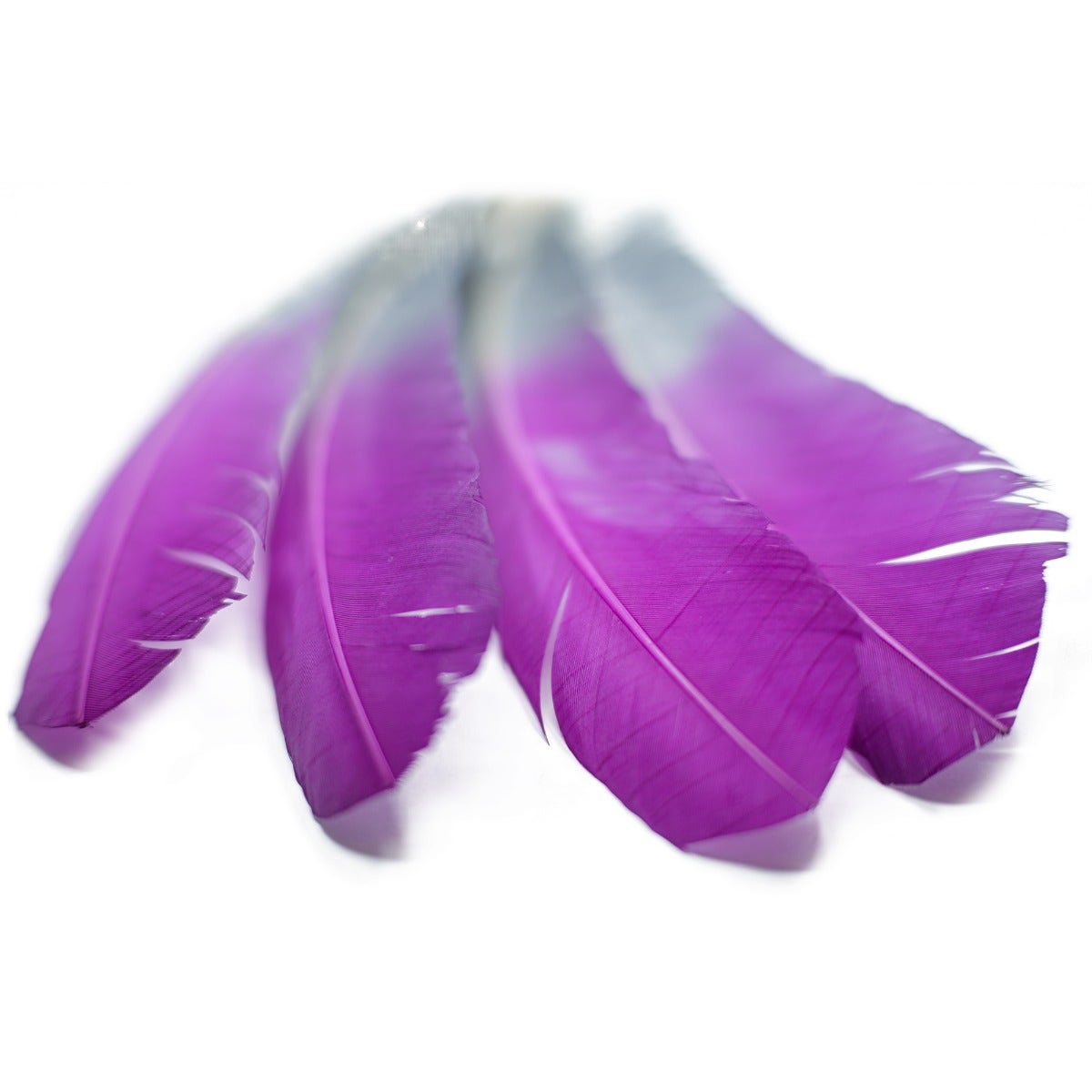 Bulk Two Tone Ombre Tipped Turkey Round Feathers - 10-12” - 1/4 lb - Very Berry/Silver
